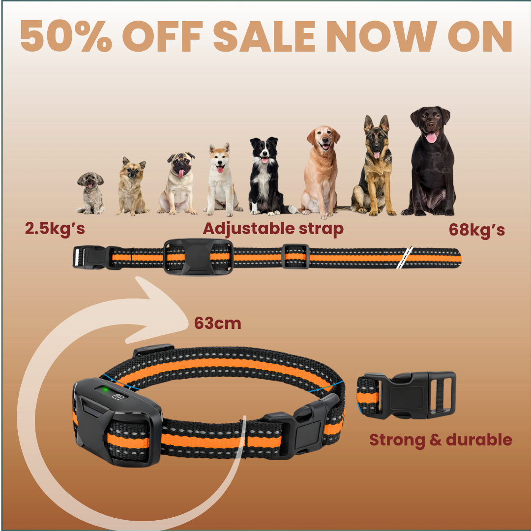 Bright Bark dog training collar