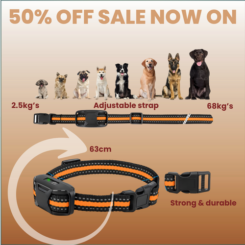Bright Bark dog training collar