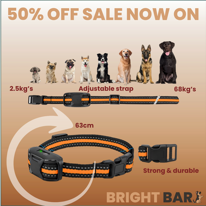 Bright Bark dog training collar