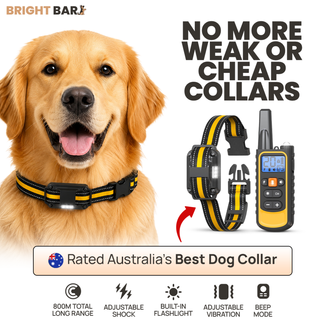 Bright Bark Dog Training Collar- 50% SALE NOW LIVE