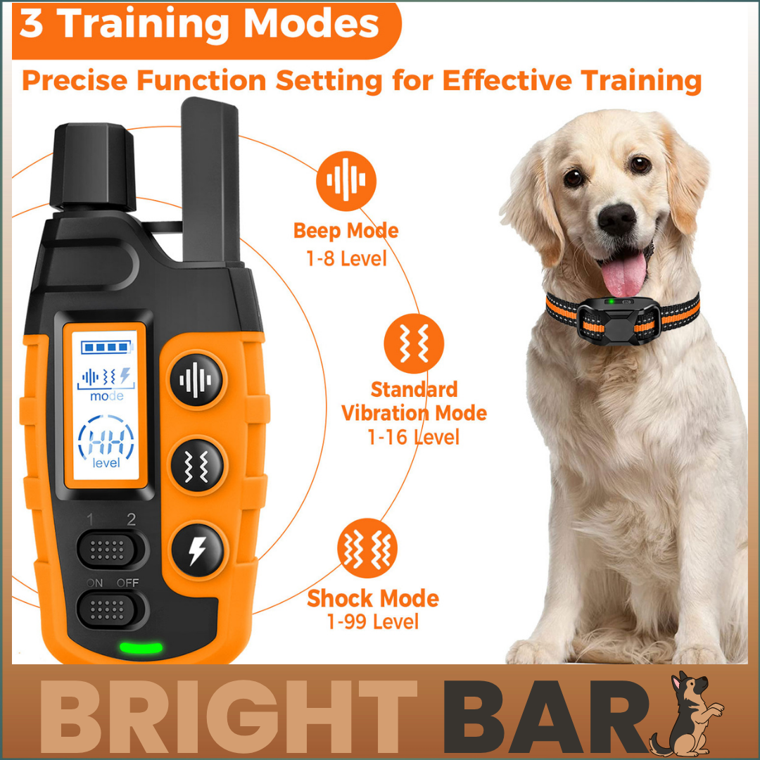 Bright Bark dog training collar