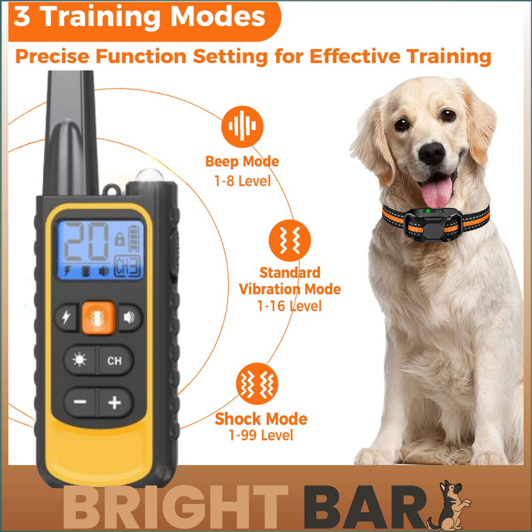 Bright Bark dog training collar