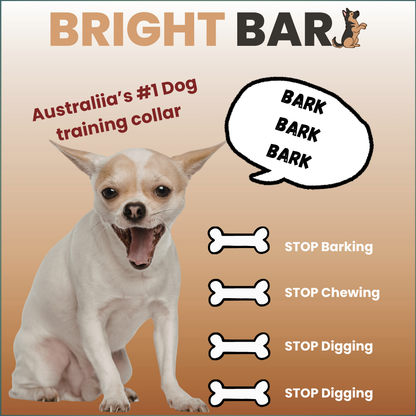 Bright Bark dog training collar