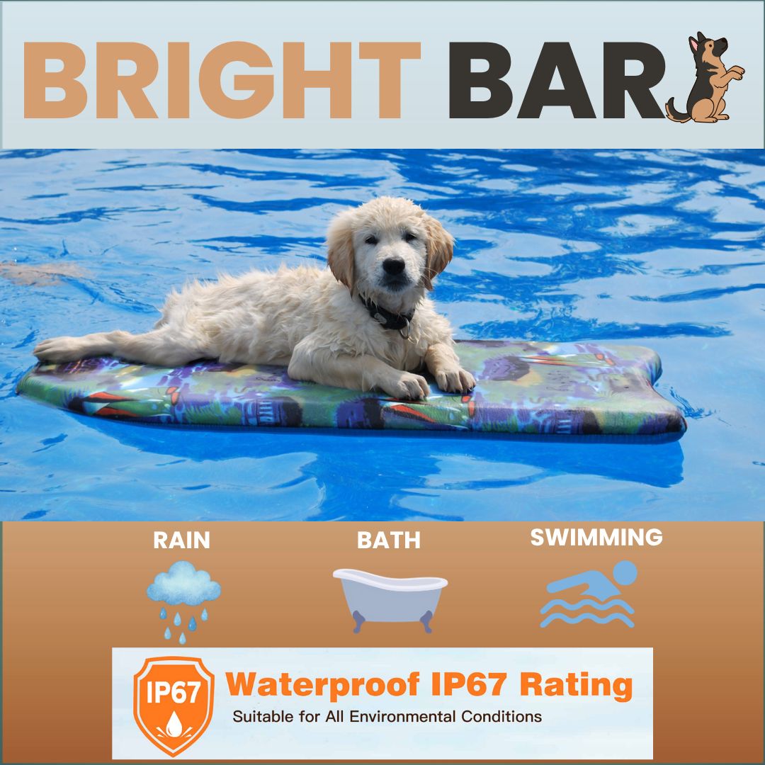 Bright Bark dog training collar