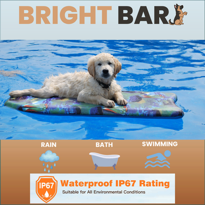 Bright Bark dog training collar