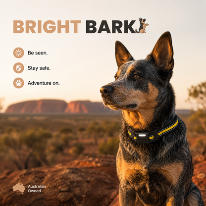 Bright Bark Dog Training Collar- 70% EOFY SALE NOW LIVE