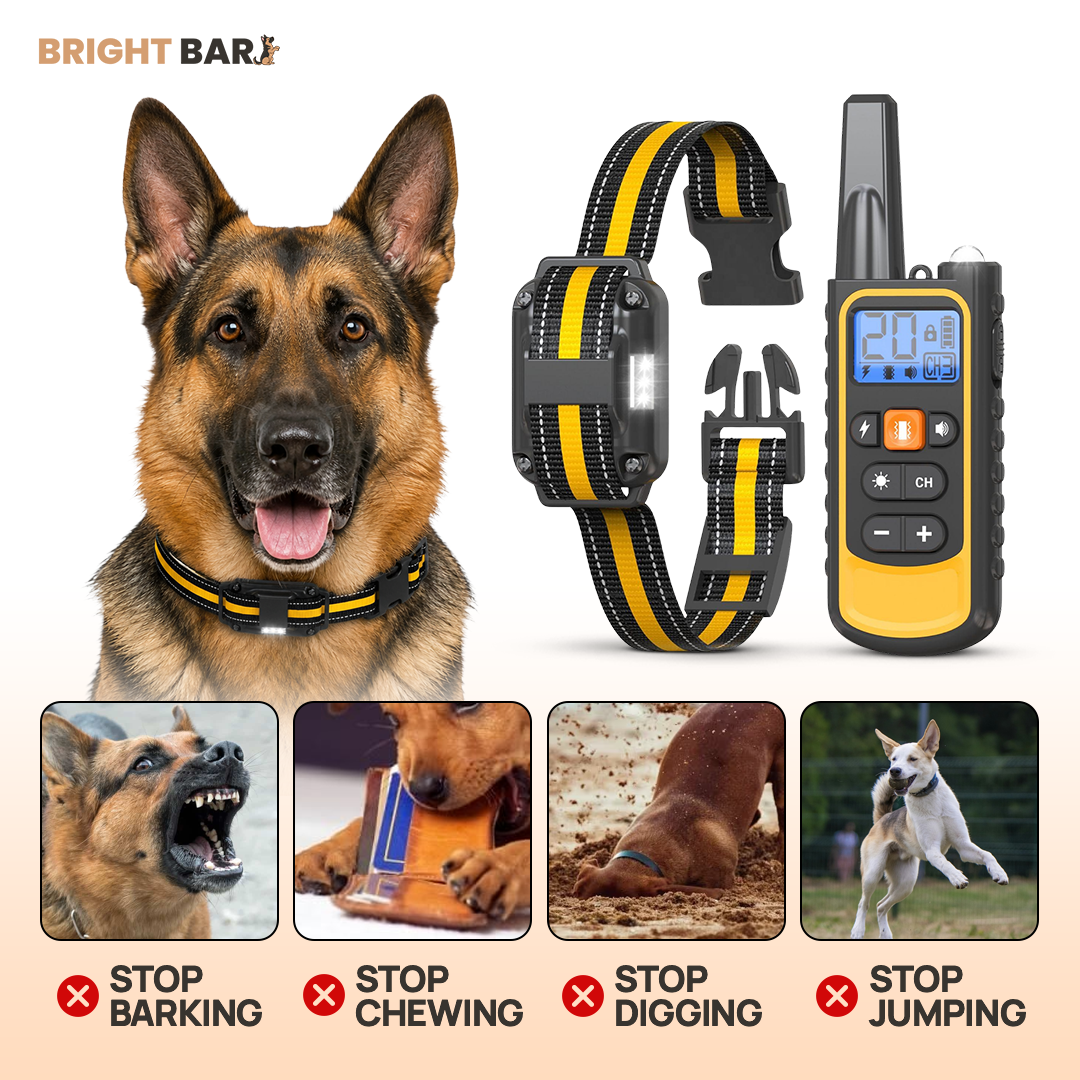 Bright Bark Dog Training Collar- 50% SALE NOW LIVE