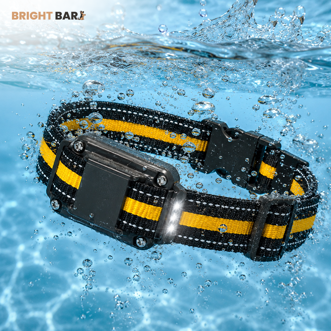 Bright Bark Dog Training Collar- 50% SALE NOW LIVE