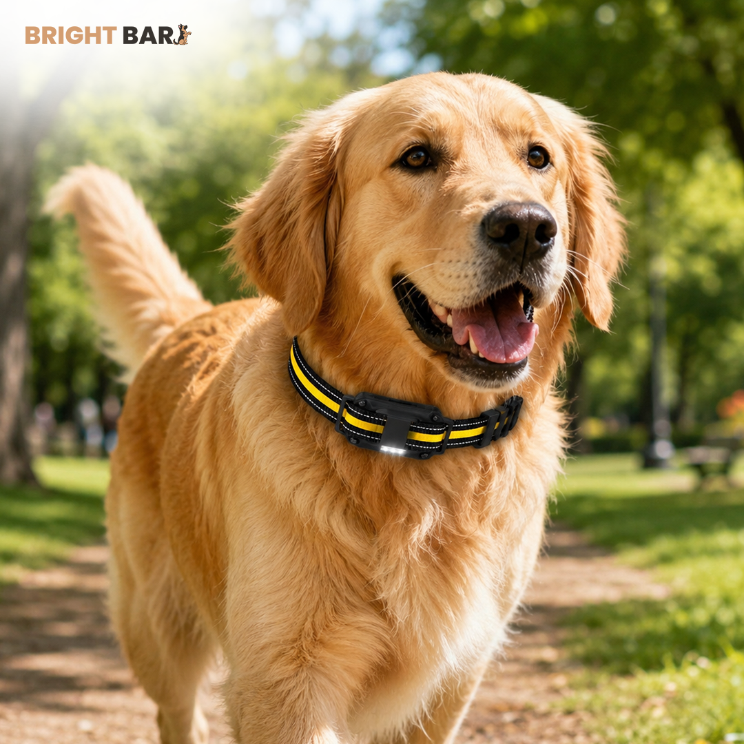 Bright Bark Dog Training Collar- 50% SALE NOW LIVE