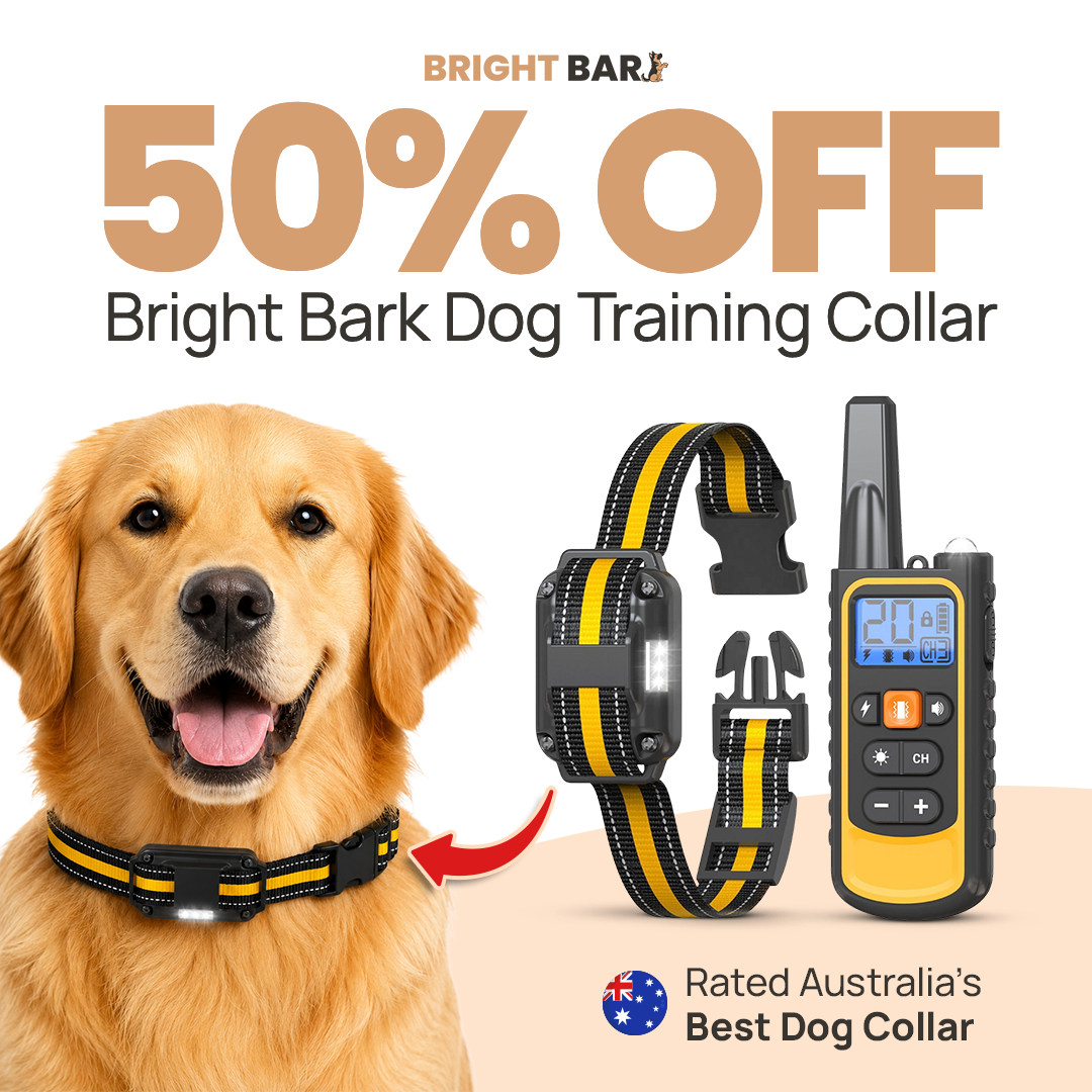 Bright Bark Dog Training Collar- 50% SALE NOW LIVE