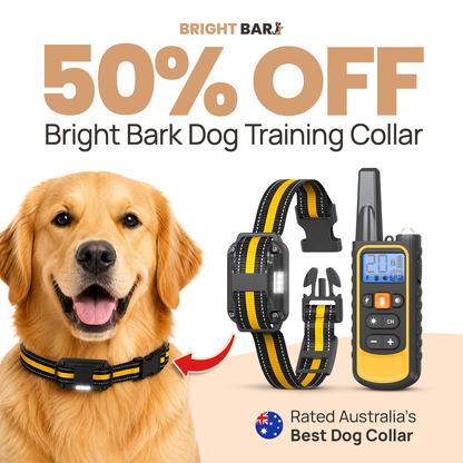 Bright Bark Dog Training Collar- 50% SALE NOW LIVE