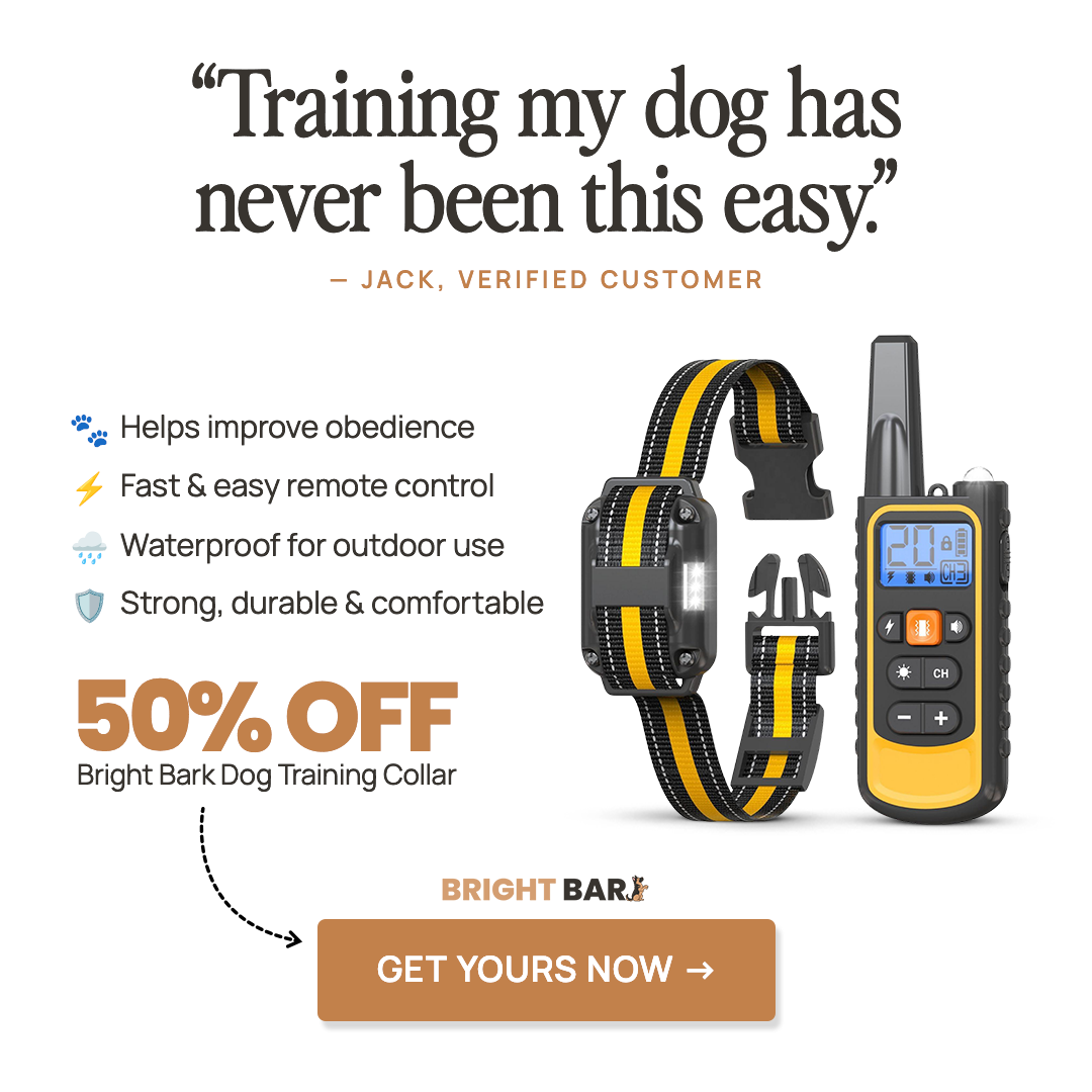 Bright Bark Dog Training Collar- 50% SALE NOW LIVE